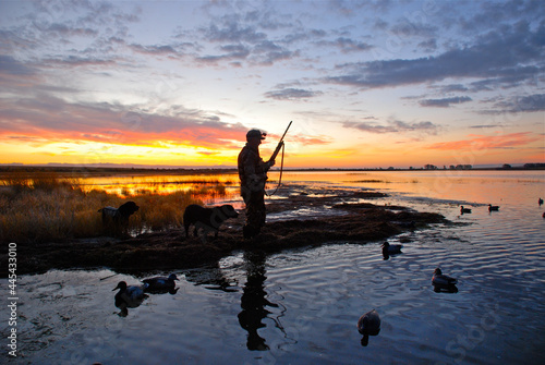 A waterfowl hunter silhouetted at sunrise  photo