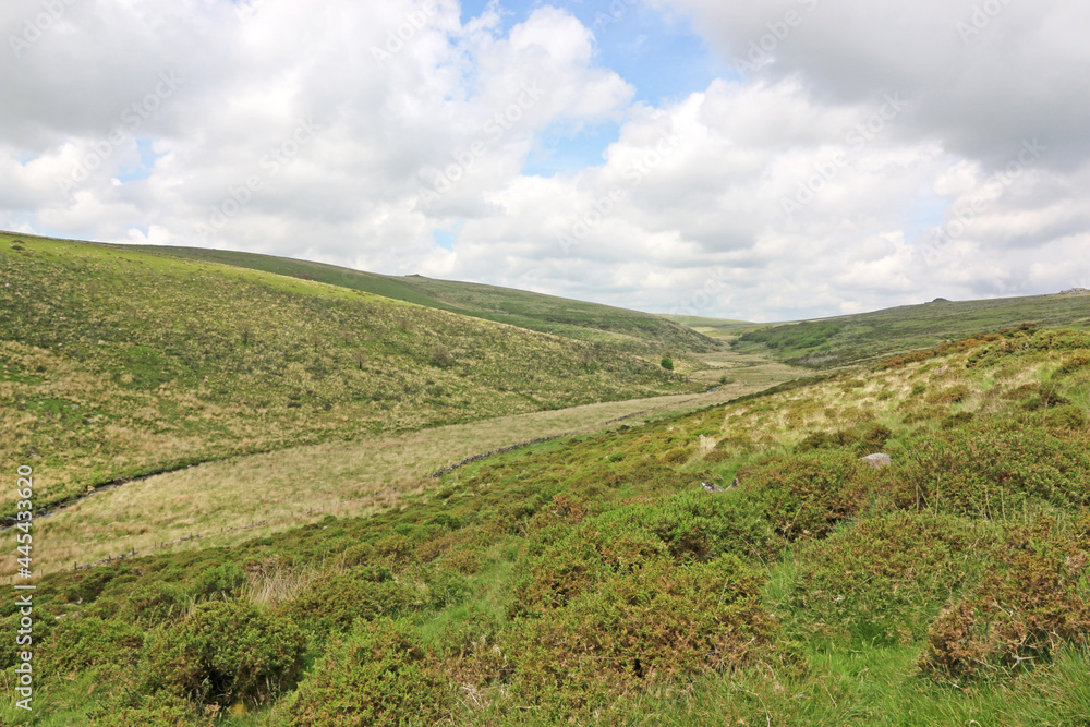 West Dart River Valley in Dartmoor, Devon	