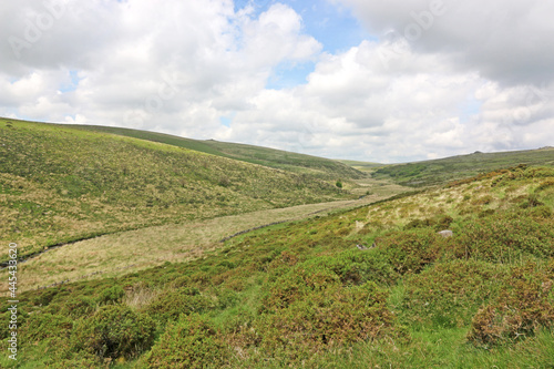 West Dart River Valley in Dartmoor, Devon 