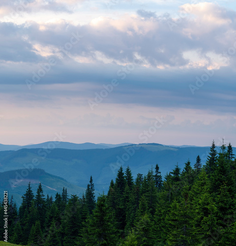 sunset in the mountains with pines on foreground © EvhKorn