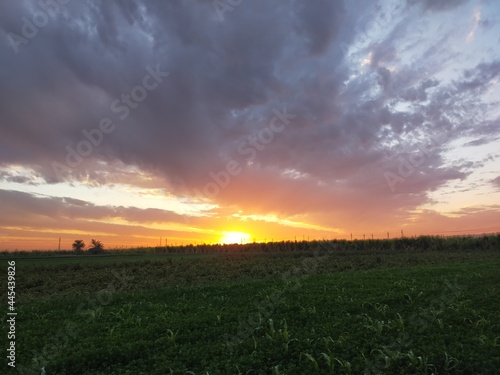 sunset over the field