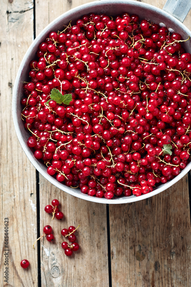 Red currants in a bowl. Red currants in a bowl.