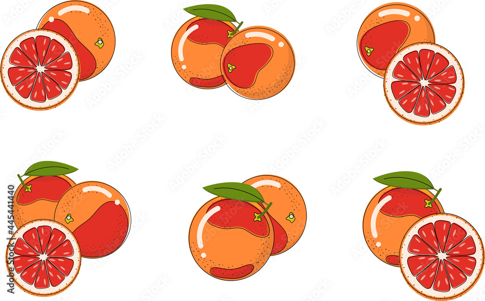 Stylized red oranges, vector file, AI, JPEG Stylized red oranges, vector file, AI, JPEG