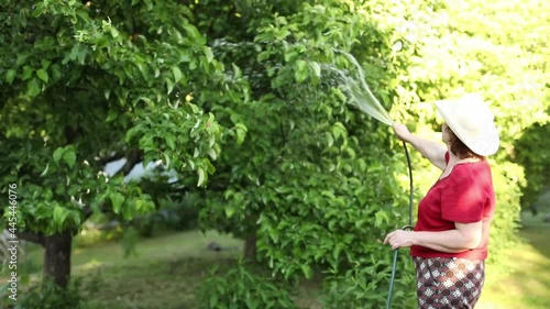 An elderly woman in her garden waters the trees with a hose.