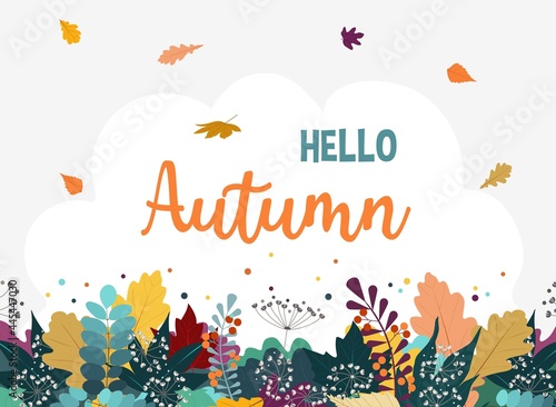 Hello Autumn background with colorful leaves isolated on white background. Fall Flat style design template for greeting card, poster, sale, promotional campaign, flyer, web banner. Vector illustration