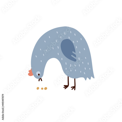 Childish cute cock in simple scandinavian style. The chicken pecks the grains Adorable hen isolated on white background. Flat vector cartoon illustration of lovely rooster.