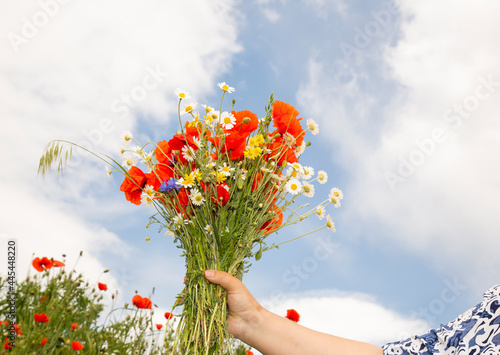 Natural flowers of poppies, daisies in the hands on the background of the sky.