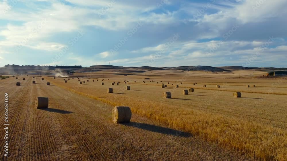 Straw bales at sunset seen from the air, drone view Straw bales at sunset seen from the air, drone view