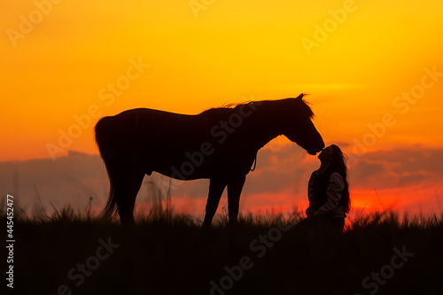silhouette of a young woman and a horse in gentle touch © michal