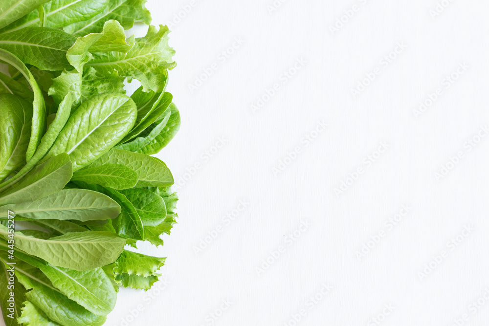 leafy organic salad on white background isolated. copy space leafy organic salad on white background isolated. copy space