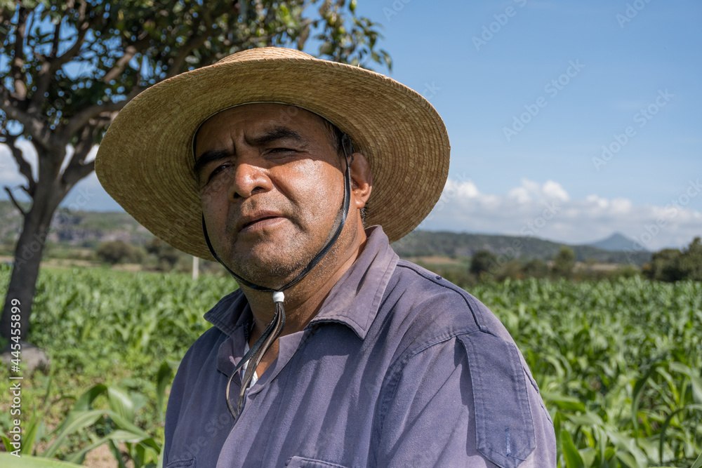 portrait of a Mexican farmer cultivating corn