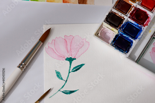 Transparent red and pink flower painted with watercolors on white paper. Rainbow colour cubes and brushes set-up. Template design for art course, supplies. Space for text.