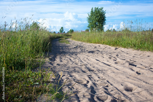 Ttrace of the hoof of the horse on the sandy road in the woods