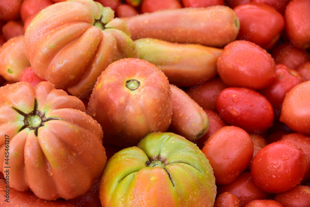 Pomodori Pomodori