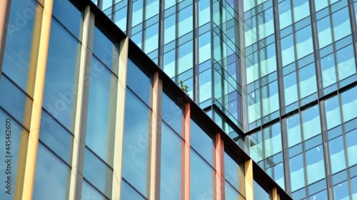 Wallpaper Mural Eco architecture. Green tree and glass office building. The harmony of nature and modernity. Reflection of modern commercial building on glass with sunlight.  Torontodigital.ca