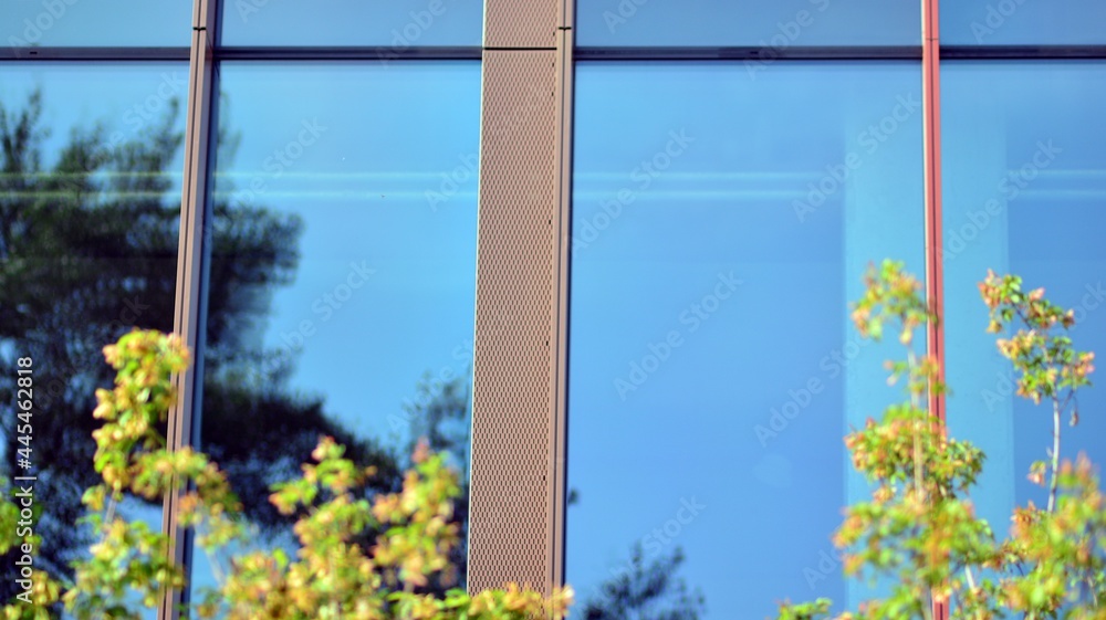Eco architecture. Green tree and glass office building. The harmony of nature and modernity. Reflection of modern commercial building on glass with sunlight. Eco architecture. Green tree and glass office building. The harmony of nature and modernity. Reflection of modern commercial building on glass with sunlight.