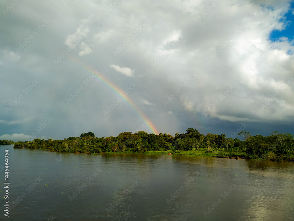 Amazon river and vegetation Amazon river and vegetation