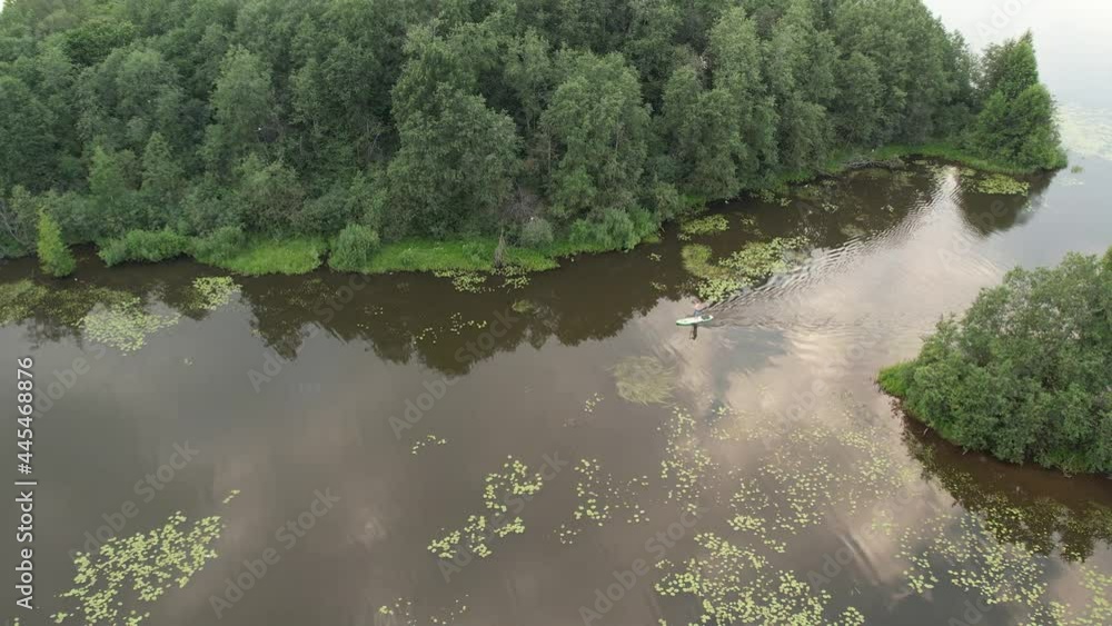 Beautiful bird's eye view of a pond with water lilies and a forest and with a man floating on a sup board Beautiful bird's eye view of a pond with water lilies and a forest and with a man floating on a sup board