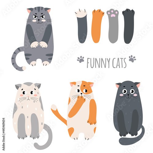 Cute funny cats on a white background. Different cartoon cats and paws set. Flat style vector illustration. Icons, avatars, banner desing
