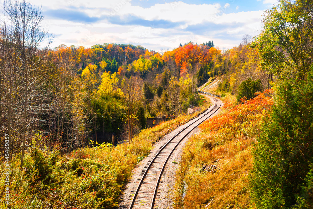 train track in autumn forest