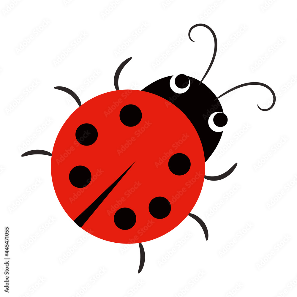 Cartoon ladybug isolated on white background. Ladybird icon. Beetle character. Vector Illustration. Cartoon ladybug isolated on white background. Ladybird icon. Beetle character. Vector Illustration.