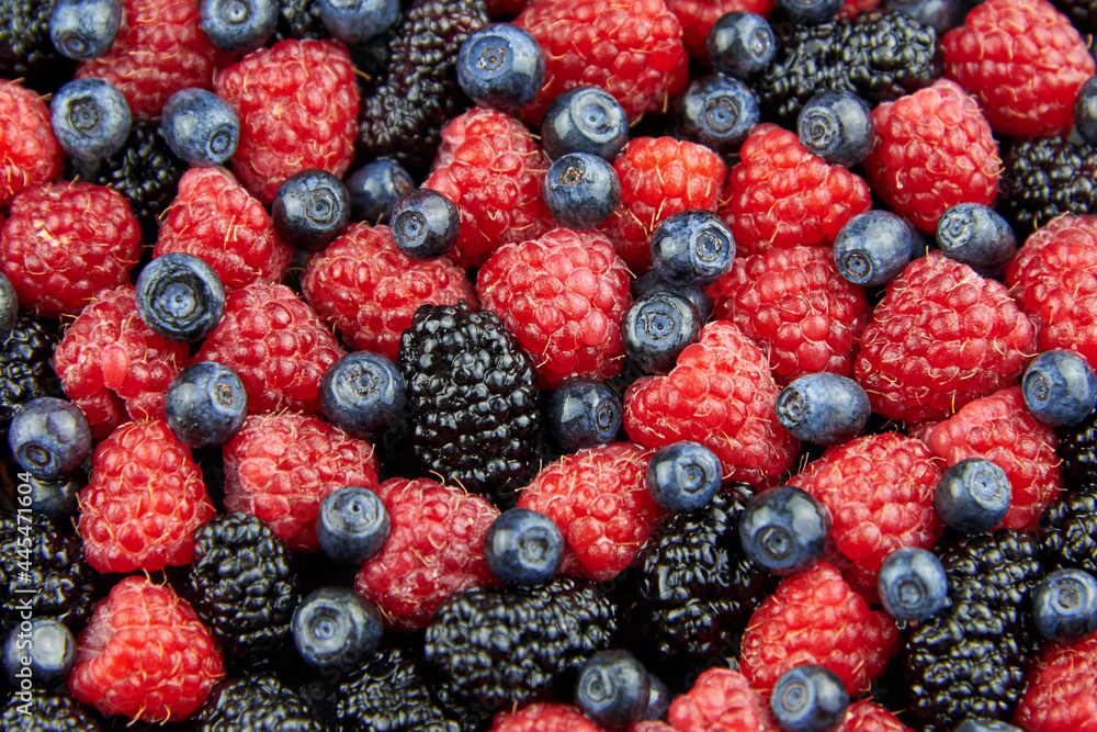 Mix of fresh raspberries, blueberries and mulberries. Mix of fresh raspberries, blueberries and mulberries.