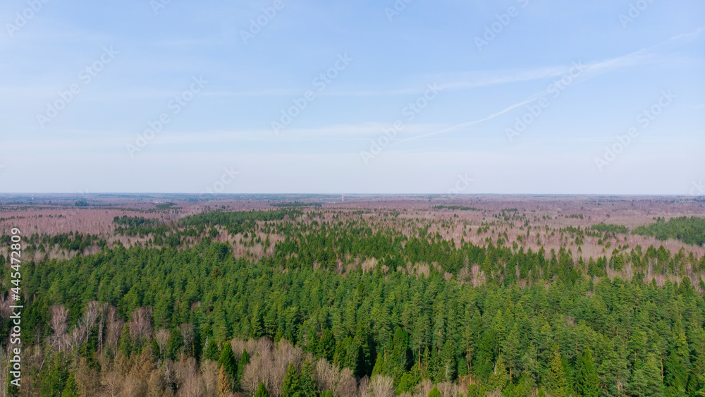 Beautiful forest with colorful trees view from above