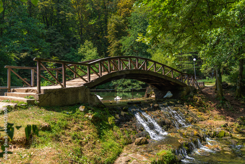 Vrelo Bosne nature green park in Sarajevo with water and ducks 