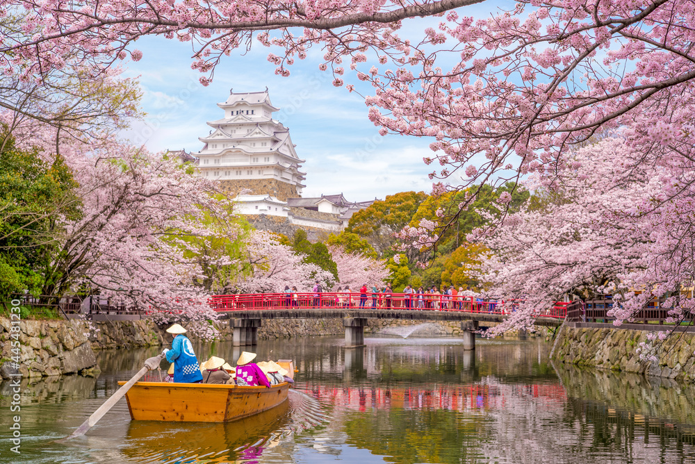 Fototapeta premium boat ride on moat of himeji castle with cherry blossom in japan