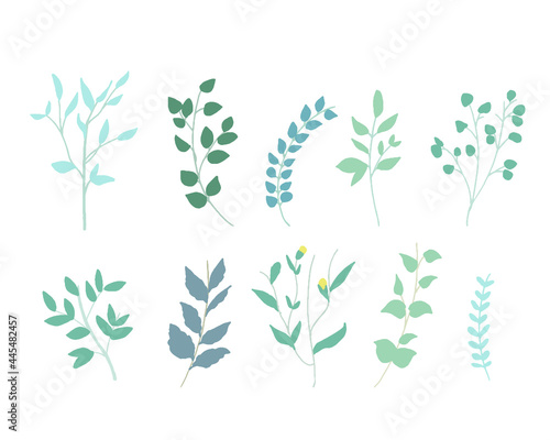 手書きタッチの草木。緑のハーブセットイラスト Plants with a handwritten touch. Green herb set illustration