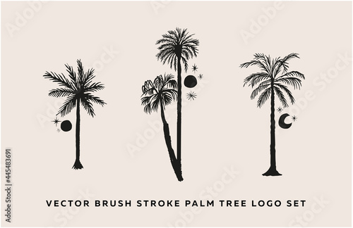 Trendy Vector Brush Stroke Palm Tree Logo Set