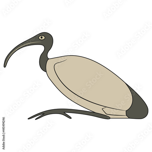 Perched ibis bird. Sacred animal of god Thoth. Ancient Egyptian mythology.