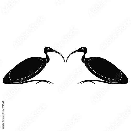 Symmetrical animal design with two ibis birds. Sacred animal of god Thoth. Ancient Egyptian mythology. Black and white negative silhouette.