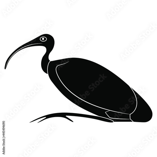 Perched ibis bird. Sacred animal of god Thoth. Ancient Egyptian mythology. Black and white negative silhouette.