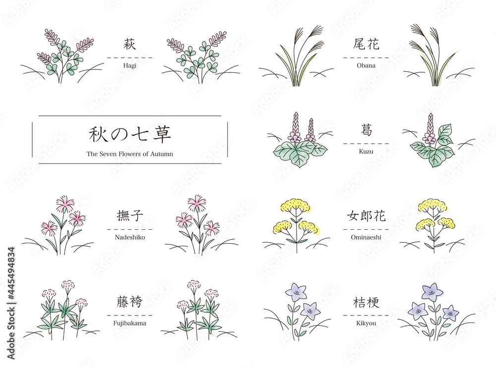 秋の七草 萩 尾花 葛 撫子 女郎花 藤袴 桔梗 シンプルな線画のイラスト Stock Vector Adobe Stock