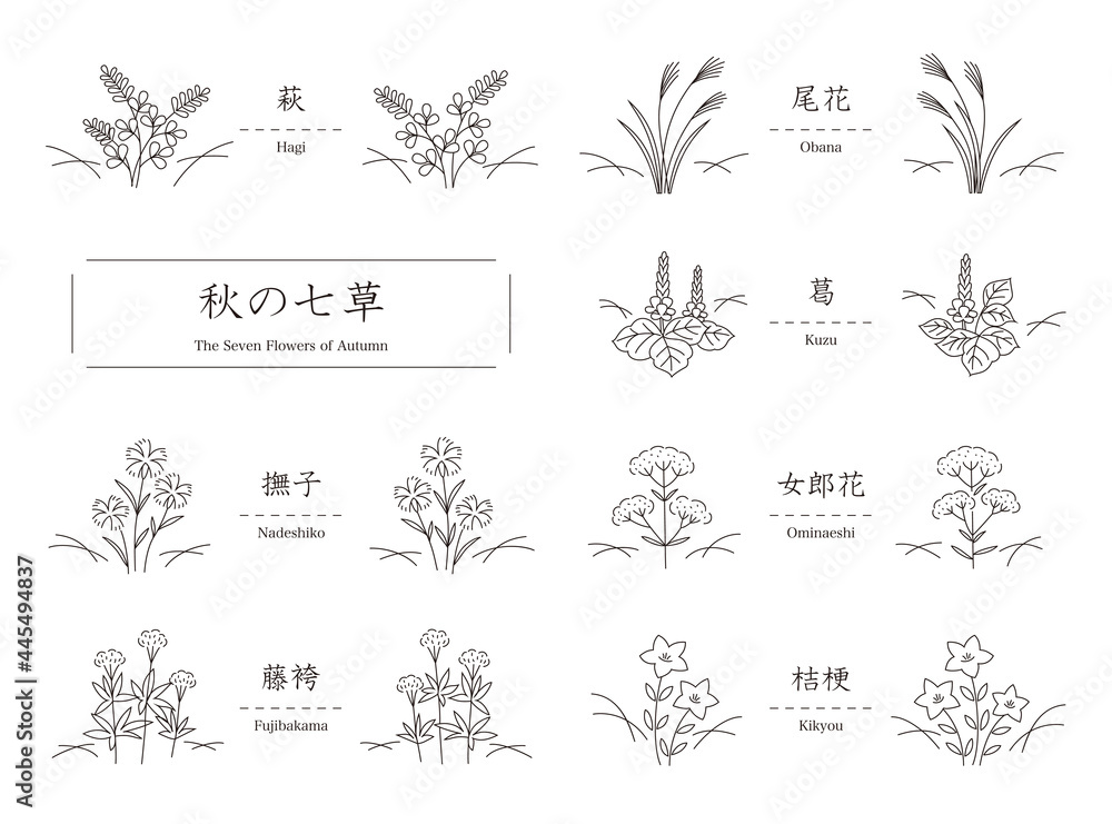 秋の七草 萩 尾花 葛 撫子 女郎花 藤袴 桔梗 シンプルな線画のイラスト Stock Vector Adobe Stock