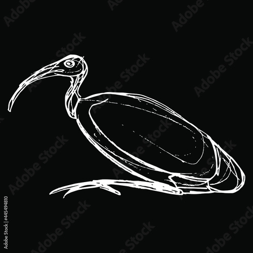 Perched ibis bird. Sacred animal of god Thoth. Ancient Egyptian mythology. Hand drawn linear doodle rough sketch. White silhouette on black background.