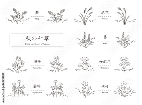 秋の七草（萩、尾花、葛、撫子、女郎花、藤袴、桔梗）シンプルな線画のイラスト