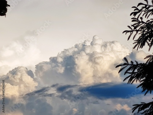 trees and clouds