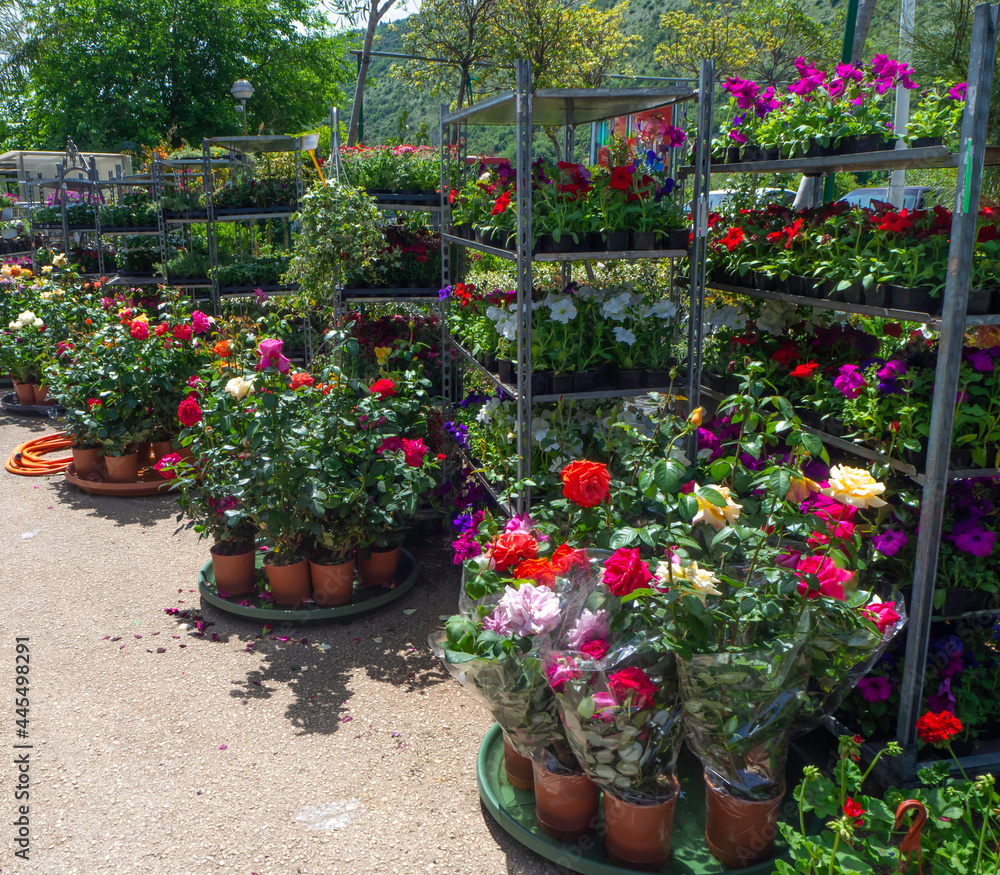 A variety of flowers on display outside at a flower shop. A variety of flowers on display outside at a flower shop.