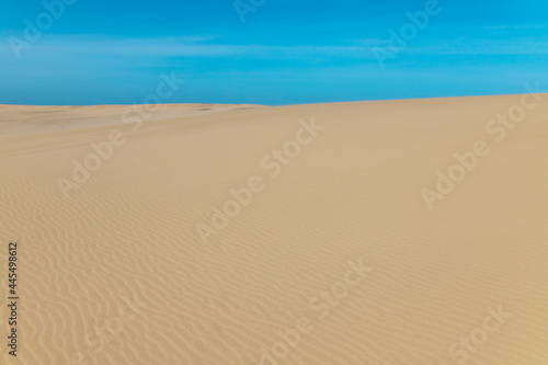 Beautiful Ripple marks on droughty Sand Dunes in Desert Area (sand waves) with blue sky. In geology, ripple marks are sedimentary structures and indicate agitation by water (current or waves) or, wind