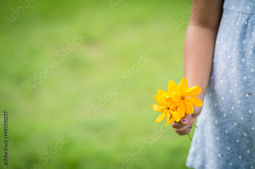 Little girl holding yellow flowers in hand against grassland background.. summer background.
