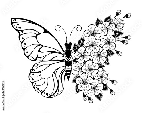 Flower butterfly with sakura