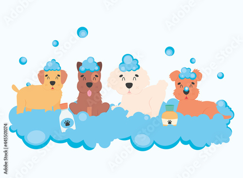 cute dogs baths illustration