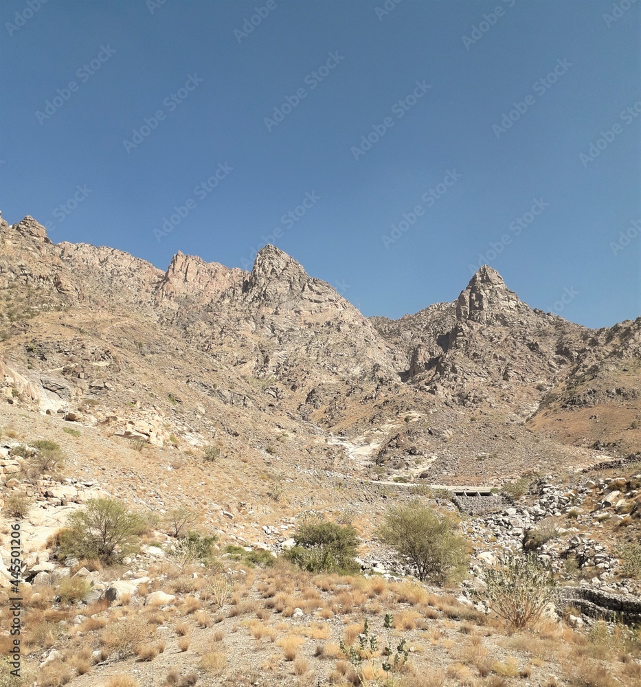 landscape in the mountains