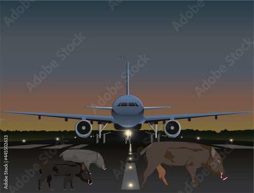 Vector Illustration of Flight Safety - Animals crossing runway at night