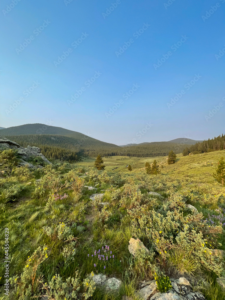 Fototapeta premium landscape with sky