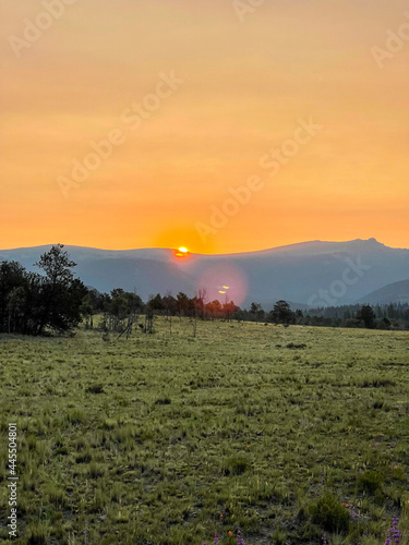 sunset over the field