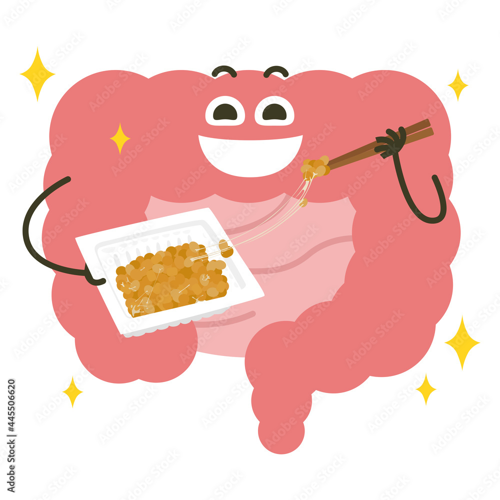 笑顔の大腸のイラスト 納豆を食べて健康的なピンク色の大腸 Stock Vector Adobe Stock