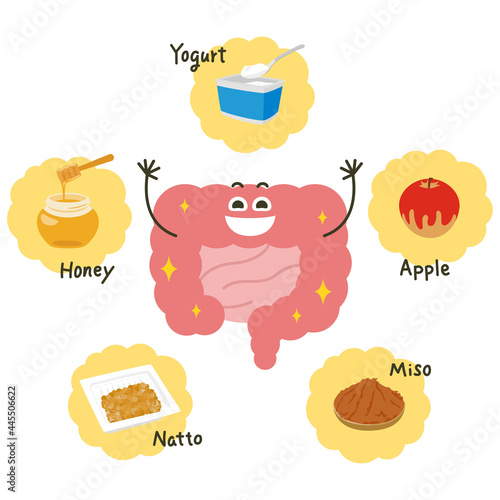 笑顔の大腸のイラスト 納豆やヨーグルトなどの体に良い食べ物を食べて健康的なピンク色の大腸 Vector De Stock Adobe Stock